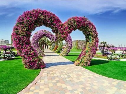 باغ گل دبی یکی از جاهای دیدنی این شهر است که در این مقاله با این مکان زیبا اشنا میشویم.